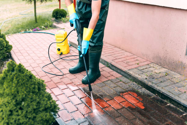 Best Playground Equipment Cleaning  in Eslon, CA