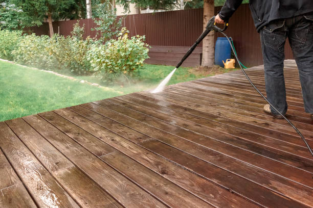 Best Driveway Pressure Washing  in Eslon, CA