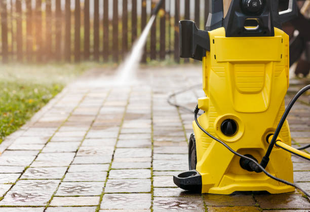 Best Roof Washing  in Eslon, CA