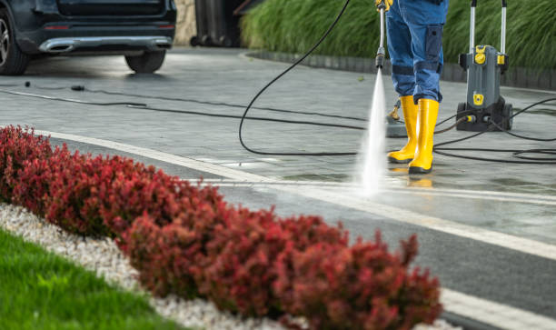 Best House Exterior Washing  in Eslon, CA